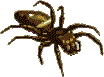 clipart aranas