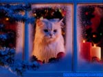 imagenes navidenas