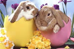 Imagenes Pascua